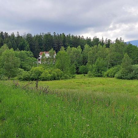 Gorskie Zacisze Bed and Breakfast Borowice Exteriör bild